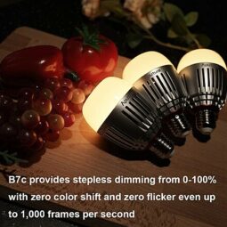 3x Aputure Accent B7c RGBWW LED (7W, E26 base + built-in battery) full