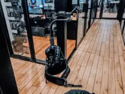 EasyRig Vario 5 + Serene Arm